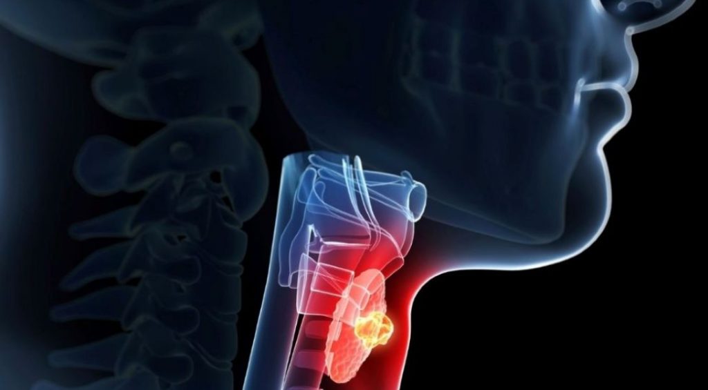 The best foods to support your thyroid