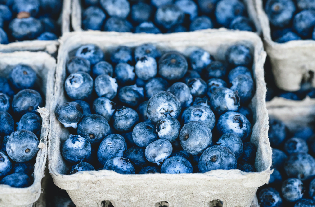 You are currently viewing The Best Anti-Inflammatory Foods